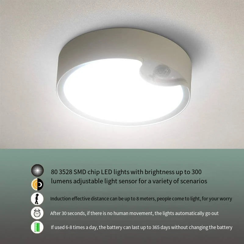 80 LED Induction Ceiling Light for Home and Bedroom
