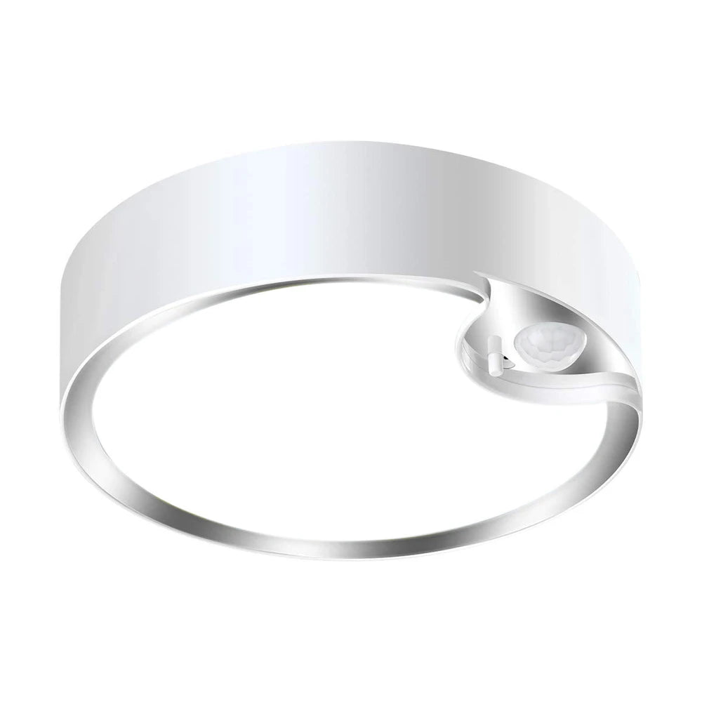 80 LED Induction Ceiling Light for Home and Bedroom