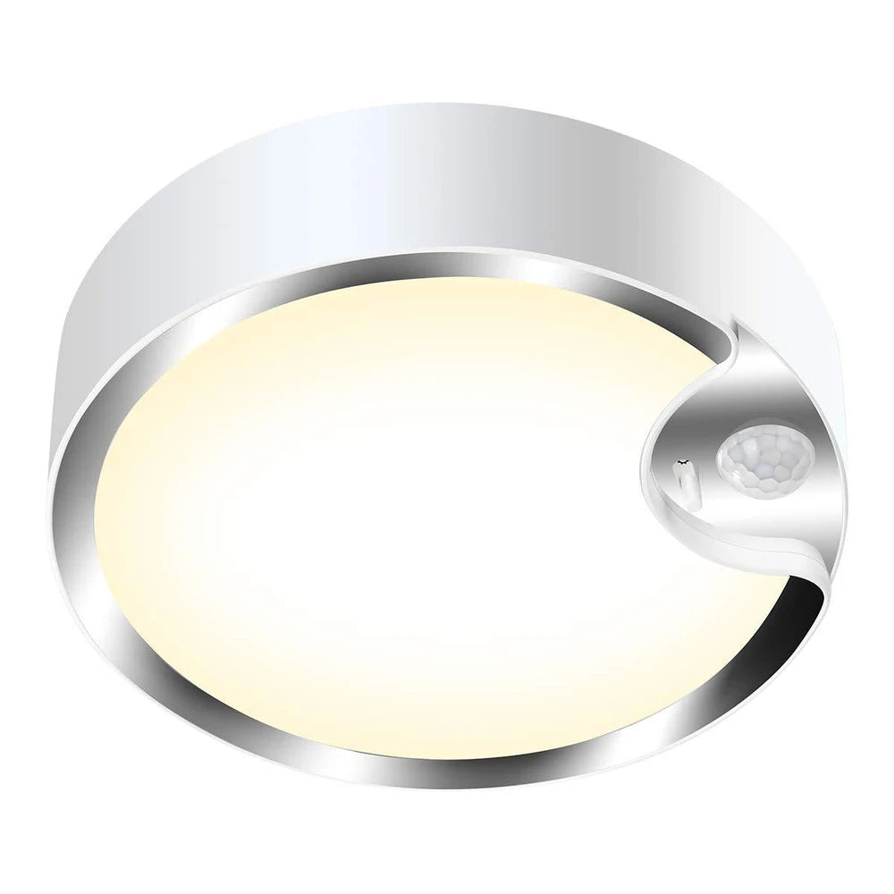 80 LED Induction Ceiling Light for Home and Bedroom