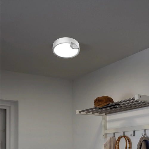 80 LED Induction Ceiling Light for Home and Bedroom